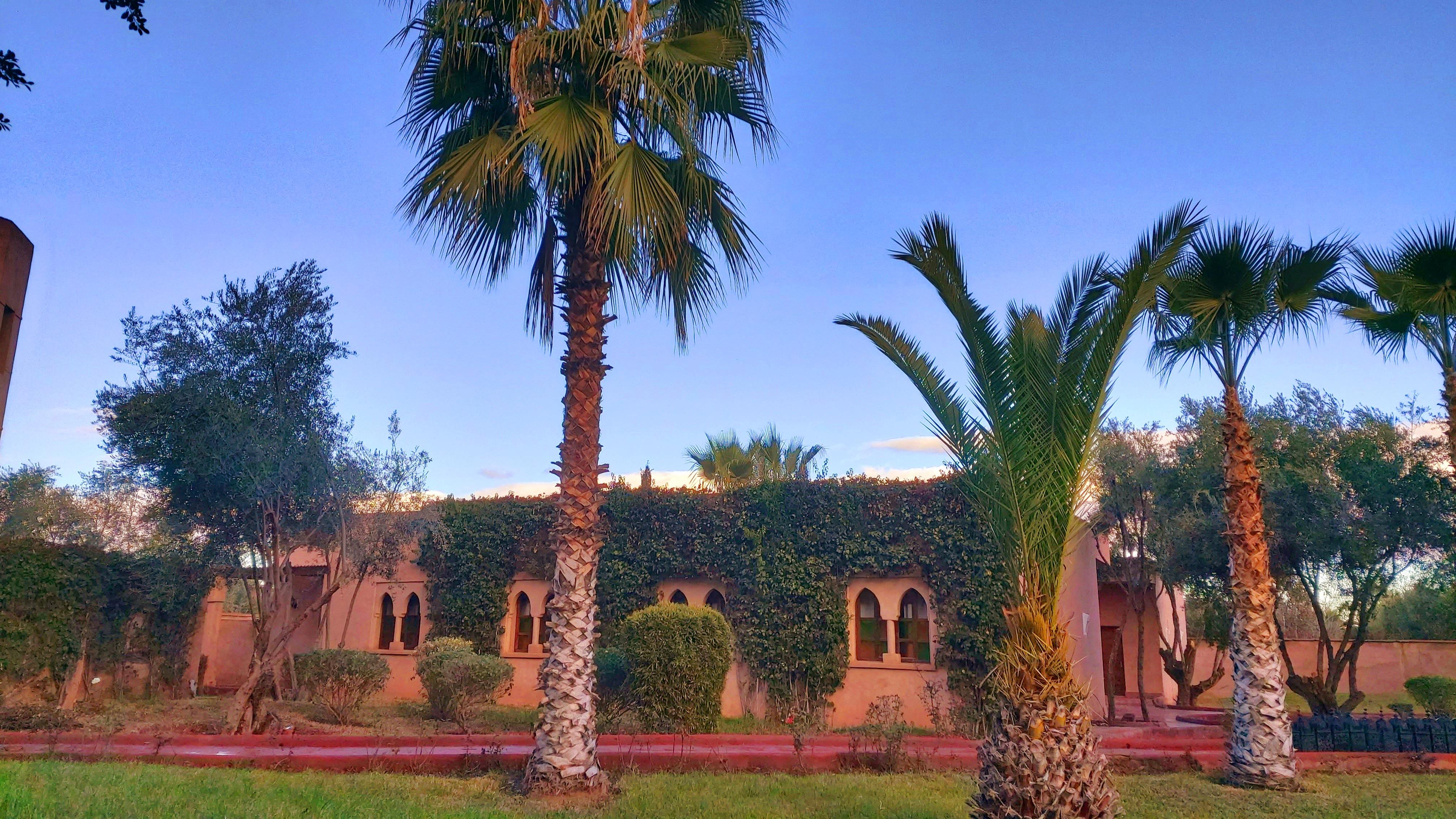 La Maison Des Oliviers Lagouassem Екстериор снимка